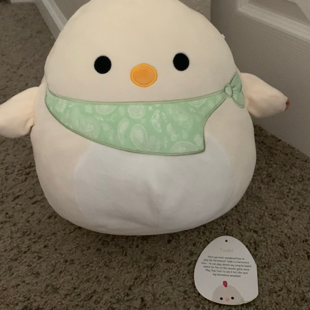 Todd the chicken squishmallow 11inch